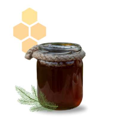 Miód ze spadzi liściastej