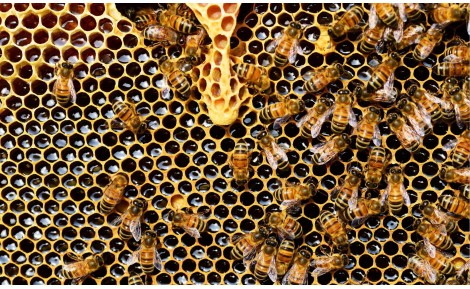 Listopadowy styczeń